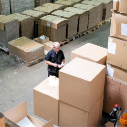 2019 07 31 SIBO 135 150x150